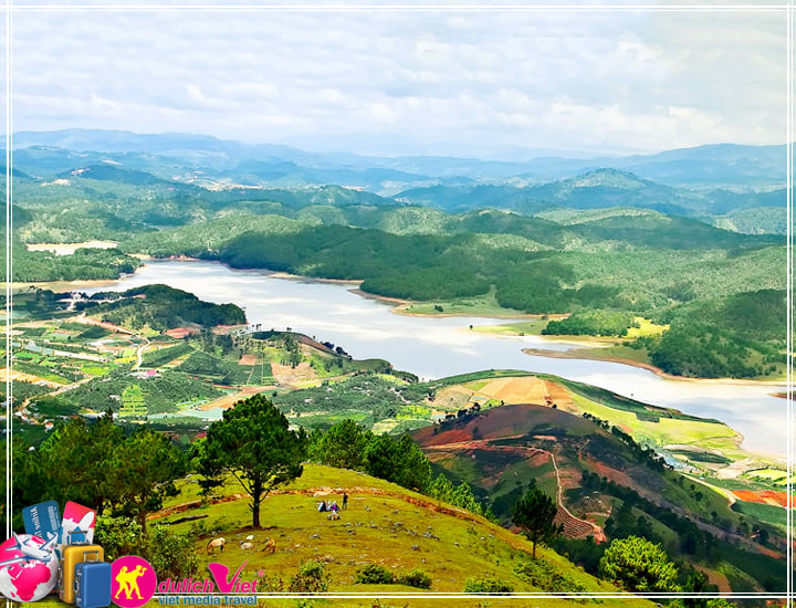 Du lịch Đà Lạt - Đồi Mộng Mơ - Langbiang 4 ngày giá tốt dịp Hè 2025